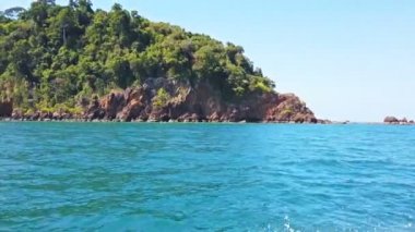 Ağaçları ile kaplı kayalık adanın uzak görünümü 