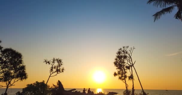 棕榈树和落日在美丽的天空 — 图库视频影像