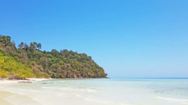 Plaj beyaz kum ve palmiye ağaçlarıyla tropikal Tayland Adası. 