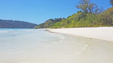 Plaj beyaz kum ve palmiye ağaçlarıyla tropikal Tayland Adası
