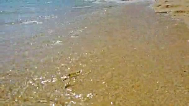 美丽的沙滩和蓝色的海水与热带岛屿上的白色海浪 — 图库视频影像