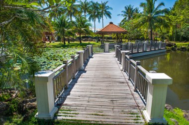 Tropik tatil beldesinde güzel yeşil lotus gölet ve lüks otel binaları görünümü 