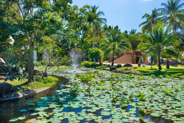 热带度假胜地美丽的绿色莲花池和豪华酒店建筑景观 — 图库照片