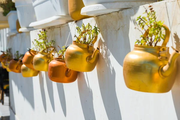 Old Rustic Copper Kettles Plants Hanging White Wall Souq Waqif — Stock Photo, Image