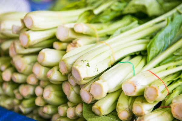 Klasar Färska Gröna Bladgrönsaker Asian Street Market Kan Användas Som — Stockfoto