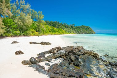 beyaz kum plaj tropikal Adası 