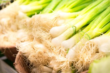 Pazarda yeşil soğan Demetleri