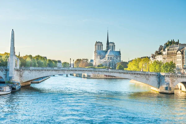 Notre dame de Paris — Stok fotoğraf