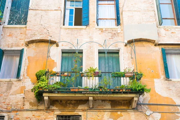 Fenster mit Blumen im alten Haus — Stockfoto