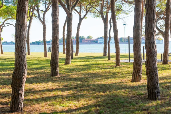 Park mit Blick auf die Stadt in Venedig — Stockfoto