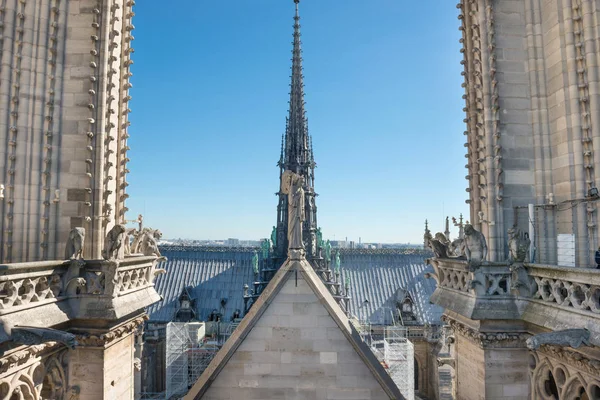 Estatuas en el techo de Notre-Dame de Paris — Foto de Stock