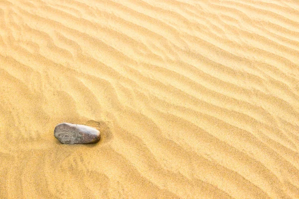 Pebble lying on texture of yellow sand dunes — Stock Photo, Image