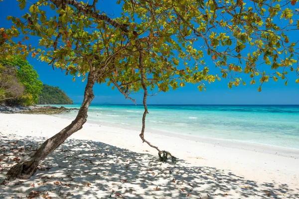 Tropik adada güzel plaj — Stok fotoğraf