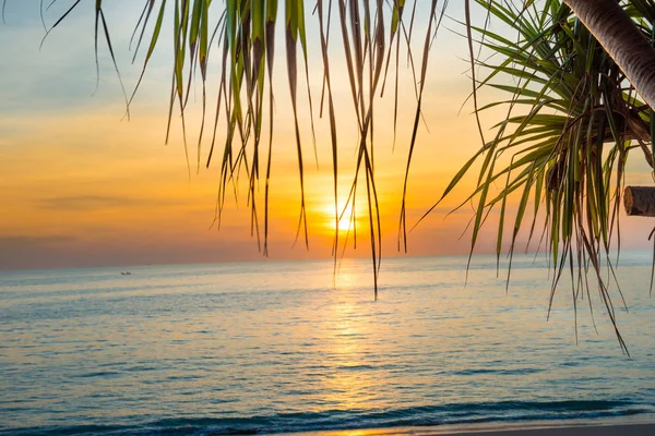 Sunset at tropical beach with palms — Stock Photo, Image