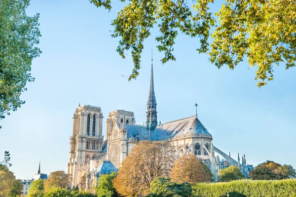 Senhora de notre de Paris — Fotografia de Stock