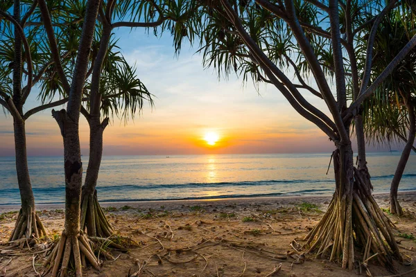 Sunset at tropical beach with palms — Stock Photo, Image