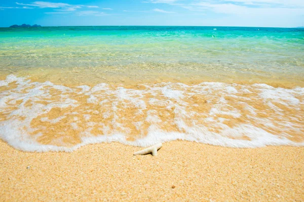 Zeegezicht met koraal op zand tropisch strand — Stockfoto