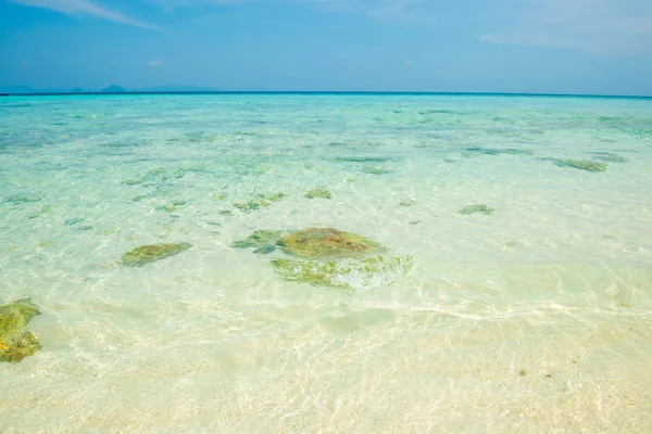 Seascape with clear transparent water — Stock Photo, Image