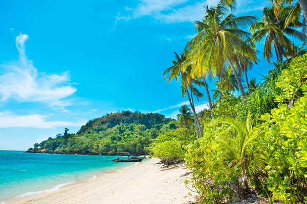 Mooi strand op tropisch eiland met palmbomen — Stockfoto