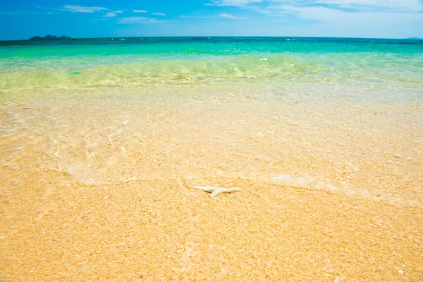 Kum tropikal plajda mercan ile Seascape — Stok fotoğraf