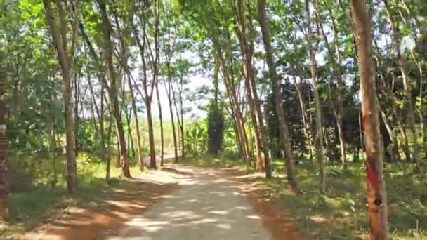 Vue de la voiture de conduite sur la route et la forêt tropicale Thaïlande  