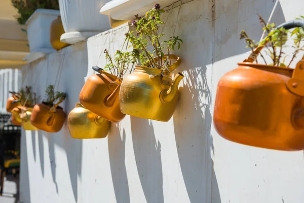 Měděné varné konvice s rostlinami visícími na bílé stěně — Stock fotografie