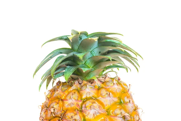Ananász izolált fehér alapon — Stock Fotó