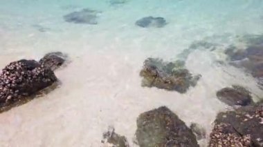 Ufukta kum plaj ve kayalık adada kayalar ile Tropikal deniz manzara