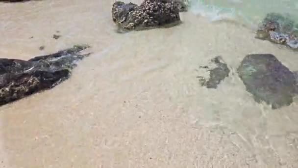 Тропічний Морський Пейзаж Камінням Піщаному Пляжі Скелястим Островом Горизонті Кліп — стокове відео