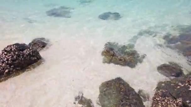 Тропічний Морський Пейзаж Камінням Піщаному Пляжі Скелястим Островом Горизонті — стокове відео