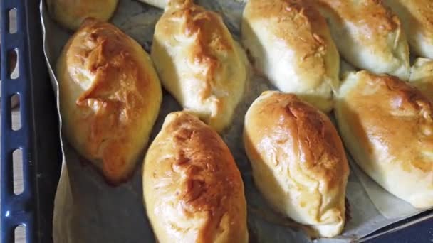 Muitos Pastéis Cozidos Forno Deliciosos Tradicionais Bandeja Forno Padaria Clipe — Vídeo de Stock
