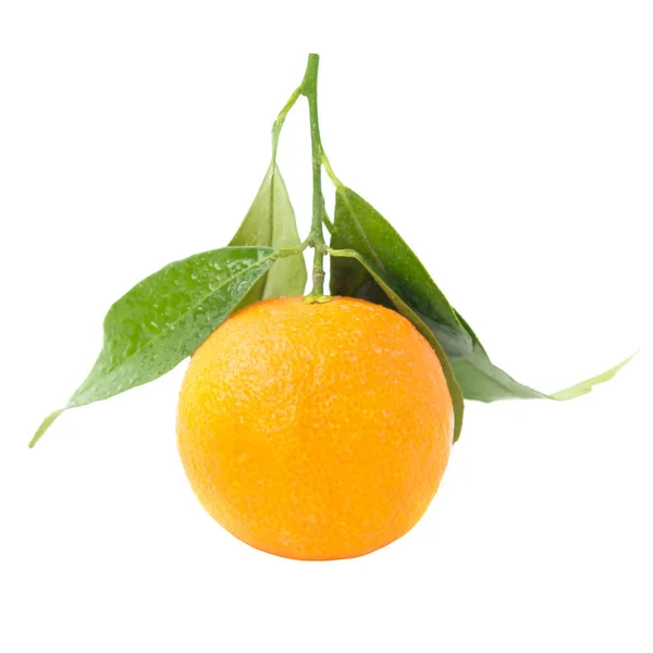 Mandarinas naranjas con hoja verde — Foto de Stock