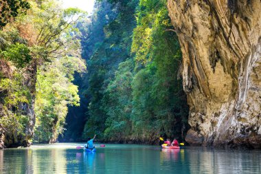 Tropikal kaya adalarında renkli kanolar