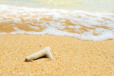 Yaz tatili arka planı olarak sahildeki mercanların yakın görüntüsü