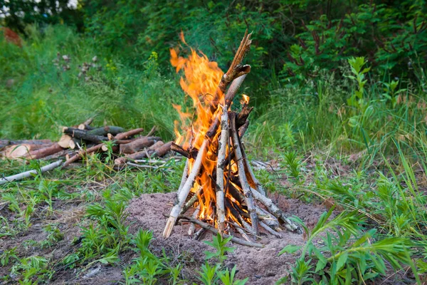 Vue du feu de joie dans la forêt verte — Photo