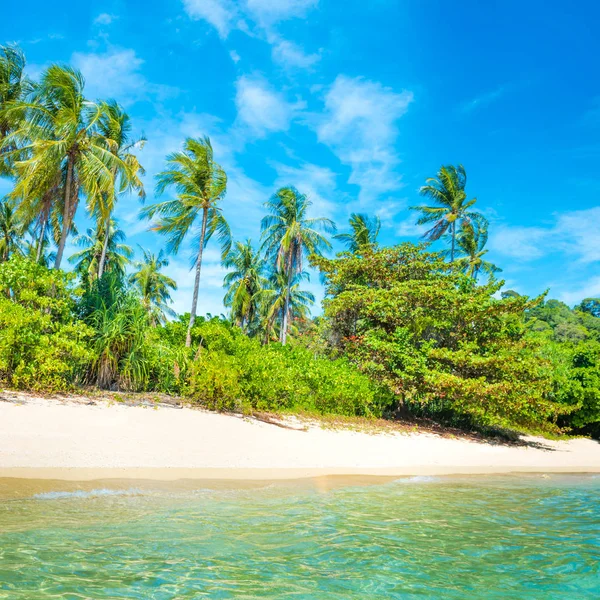 Mooi strand op tropisch eiland met palmbomen — Stockfoto