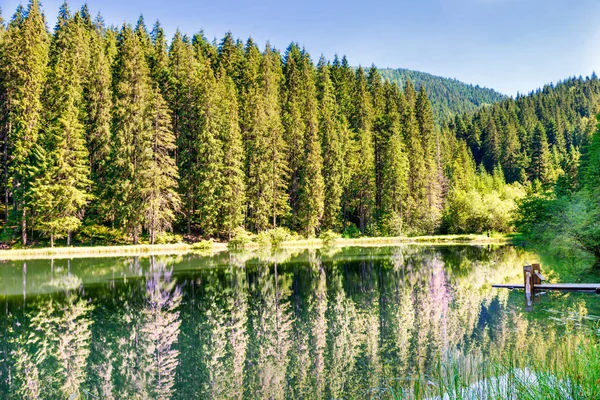 山中的森林湖 — 图库照片
