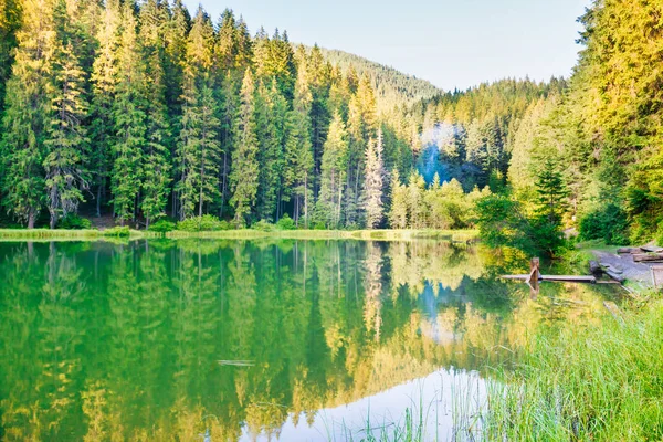 Лесное озеро в горах — стоковое фото