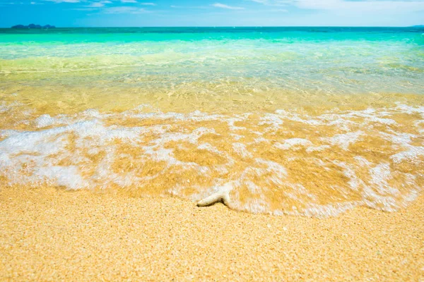 Seascape com coral na praia tropical de areia — Fotografia de Stock