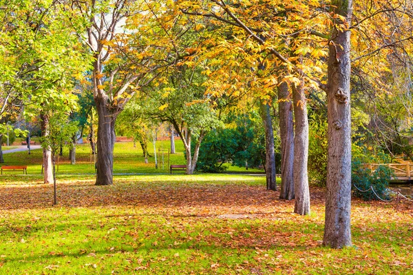 Осінній парк з зеленим газоном з опалим листям — стокове фото