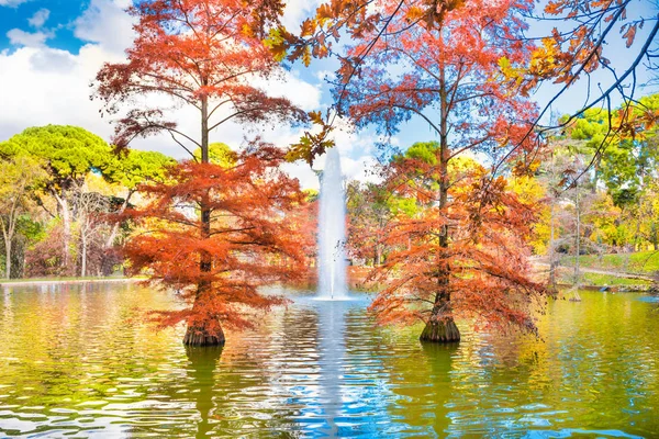 Fountain in park lake — Stock Photo, Image