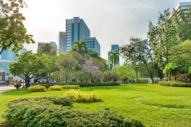 Gökyüzü arka planında yeşil ağaçlar, çimenler ve modern binalarla güzel Lumphini parkı manzarası. Bangkok, Tayland