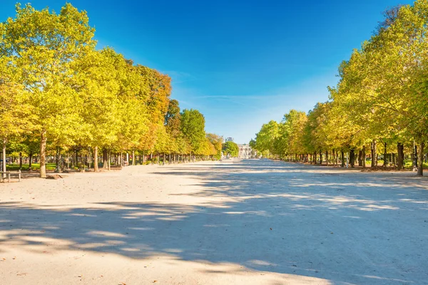 夏の日に検疫コロナウイルスの間に歩行者がいないパリの空のチュイルリー庭園公園 フランス — ストック写真