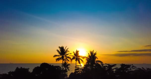 美丽的落日随着椰子树 壮观的天空和五彩斑斓的云彩掠过大海或海洋 4K时差夹30 Fps — 图库视频影像