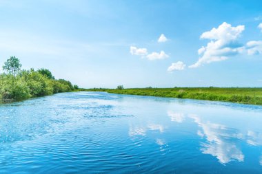 Nehir manzarası ve ağaçlı yeşil orman. Gökyüzünde mavi su bulutları.
