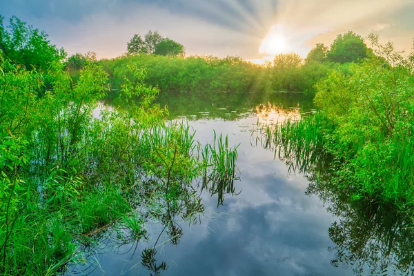 Solnedgång Vid Floden Med Reflektion Sol Strålar Vatten Genom Grön — Stockfoto