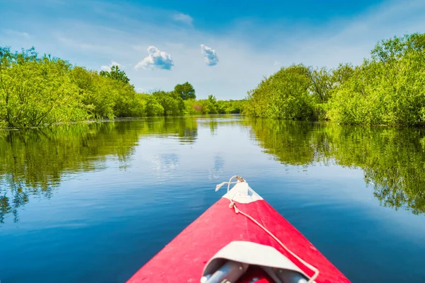 Kajak Resa Blå Flod Landskap Och Grön Skog Med Träd — Stockfoto