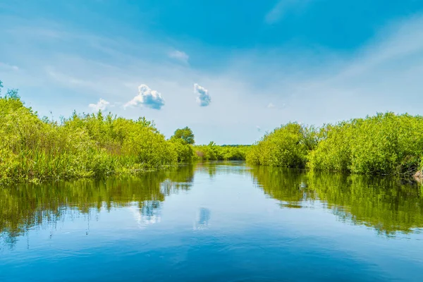 Paisaje Fluvial Bosque Verde Con Árboles Nubes Agua Azul Cielo —  Fotos de Stock
