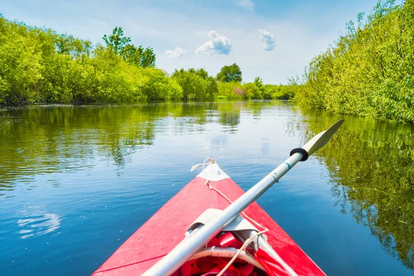 青い川の風景と木々の緑の森のカヤック旅行青い水の雲の空 — ストック写真