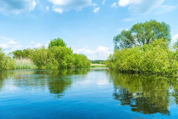 Flodlandskap Och Grön Skog Med Träd Blått Vatten Moln Himlen — Stockfoto